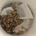 Echinacea and Holistic Health