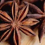 Herbal Studies for the Kids